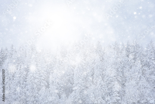 winter background snowfall trees abstract blurred white