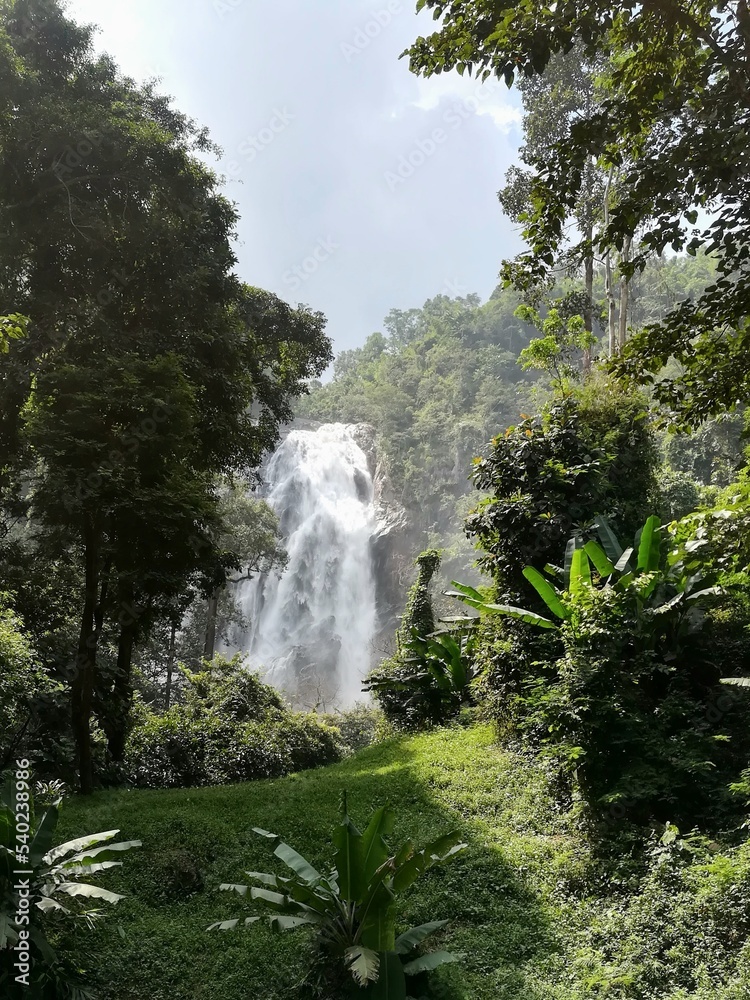 Fototapeta premium sdr