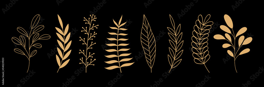 Hand drawn luxury golden leaves. Floral linear elements on black background. For print, poster, cover, banner, fabric, invitation.
