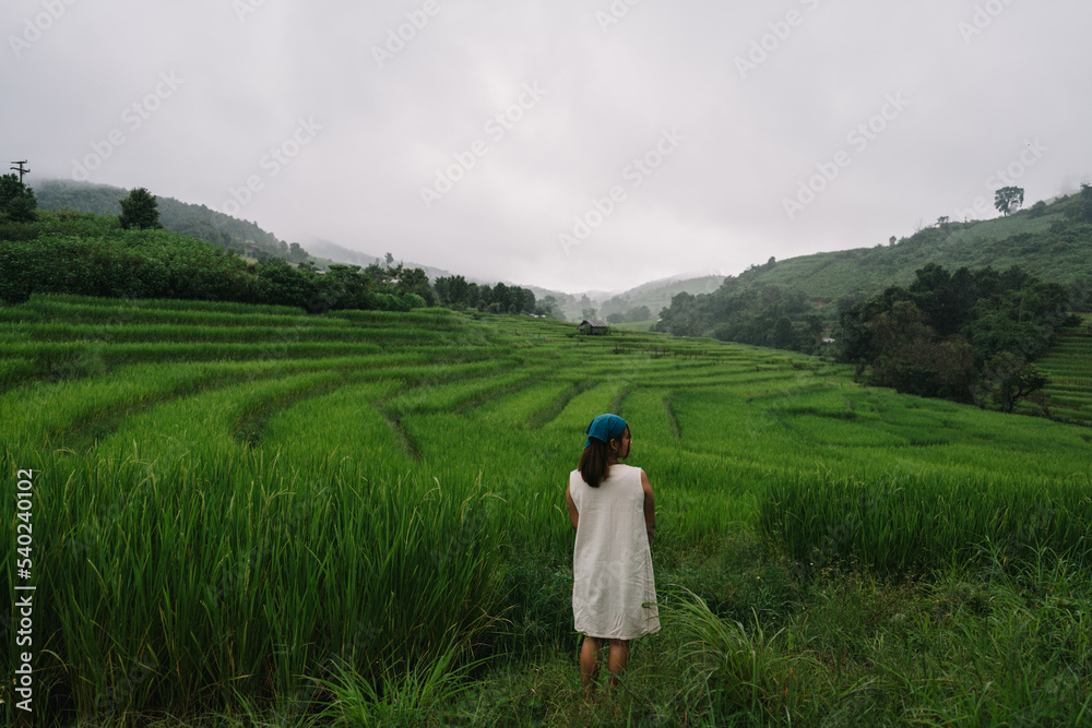 woman see rice field terraces in raining season