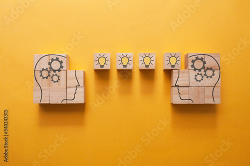 Canvas Print Human brain cogs
