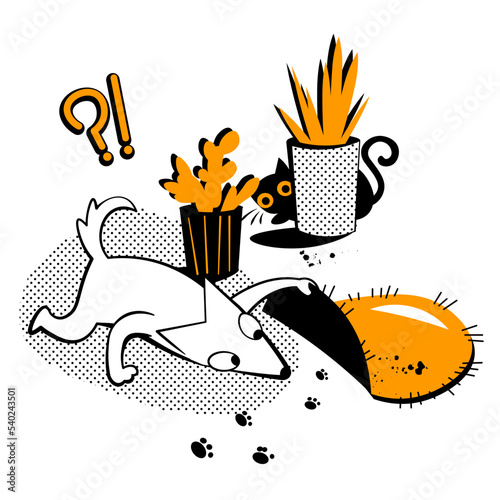 Dog is looking for a cat under the carpet