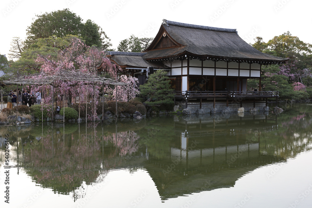 京都・平安神宮
京都・平安神宮