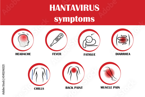 Hantavirus disease symptoms. Vector icon of illness. Simply icon. photo
