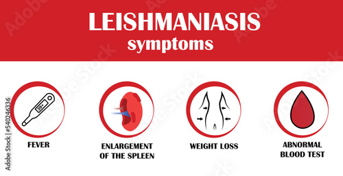 leishamniasis disease symptoms. Vector icon of illness. Simply icon. photo