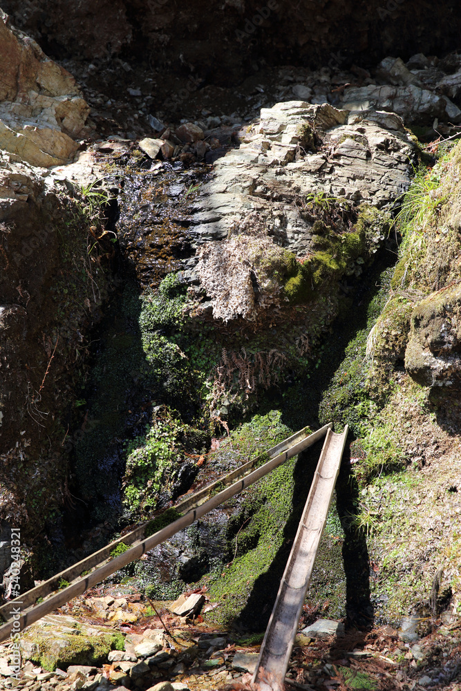 Obraz premium 吉野山の登山道