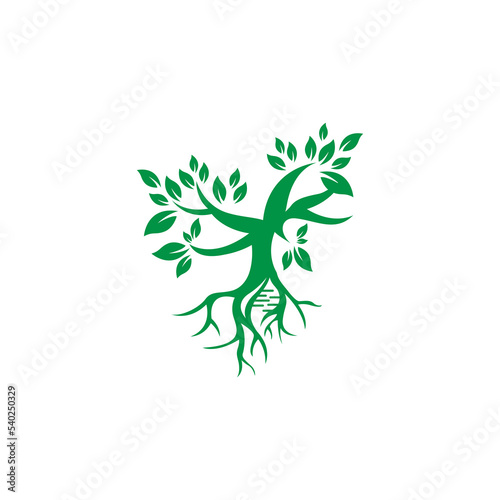 Root and Tree Helix Logo Template. EPS 10