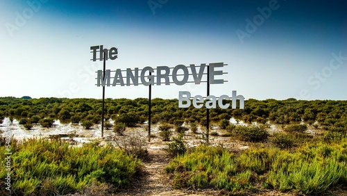 Beautiful shot of The Mangrove Beach sign on a natural background, Umm Al Quwain, UAE photo