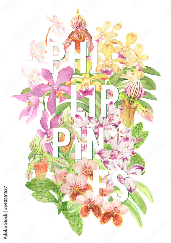 Obraz premium Philippines floral orchids watercolor typography