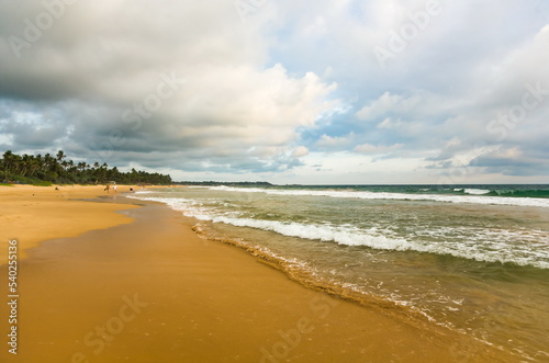 Summer landscape on the sandy shore of the Indian Ocean with palm trees against the sky with clouds. Sri Lanka