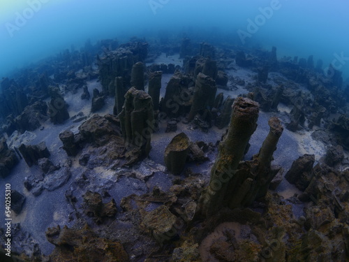 microbialites  underwater lake looks like city with towers strange scenery abstract © underocean
