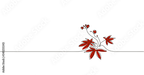 Vector illustration of castor bean plant. Simple line art with the branch of castor bean photo