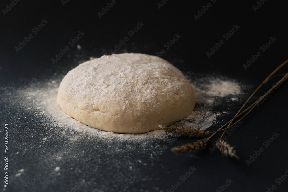 Raised piece of dough for making Raised piece of dough for making
