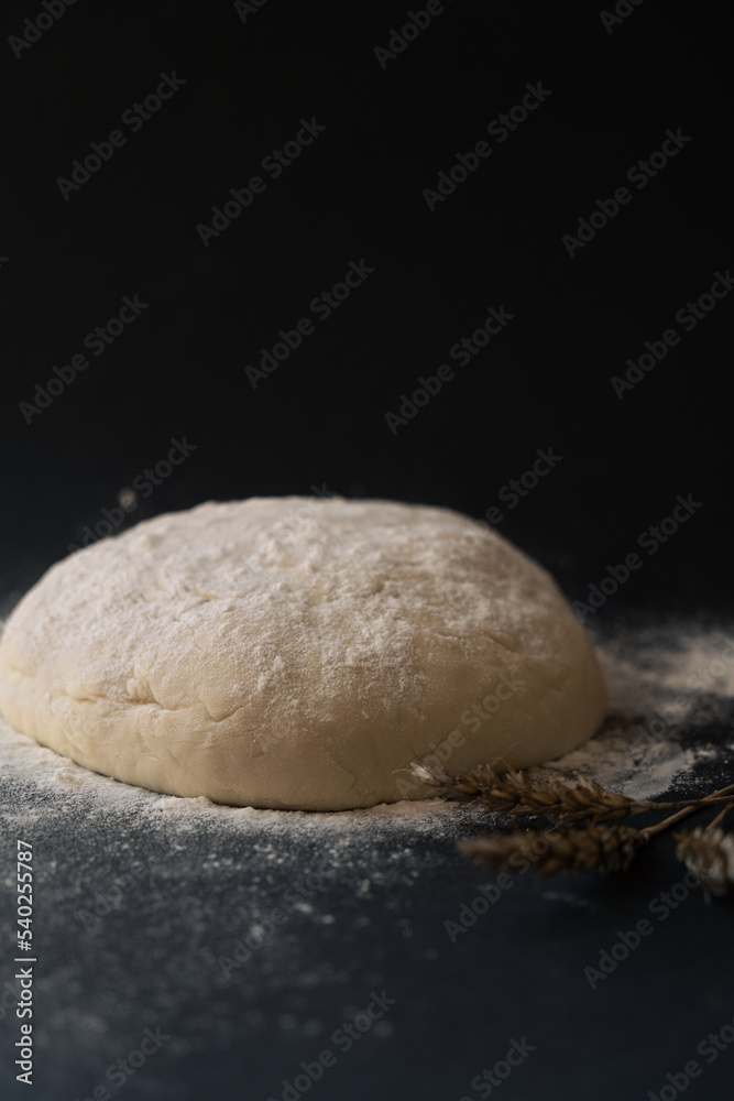Raised piece of dough for making Raised piece of dough for making