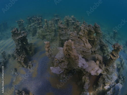 microbialites  underwater lake looks like city with towers strange scenery abstract © underocean