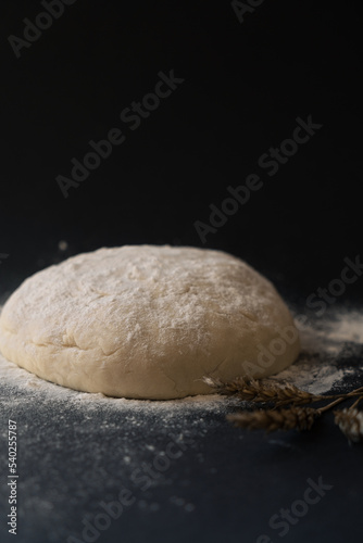 Raised piece of dough for making