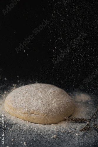 Raised piece of dough for making