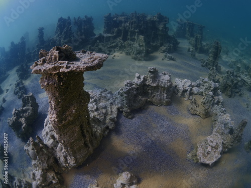 microbialites  underwater lake looks like city with towers strange scenery abstract photo