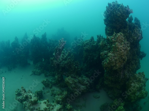microbialites underwater lake looks like city with towers strange scenery abstract