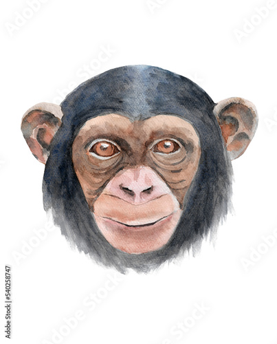 Fotobehang Baby chimpanzee face  isolated in watercolor