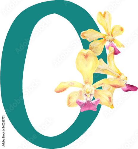 Fototapeta Naklejka Na Ścianę i Meble -  Custom hand drawn vanda orchids alphabet number 0
