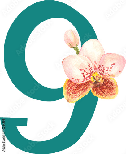 Custom hand drawn vanda orchids alphabet number 9