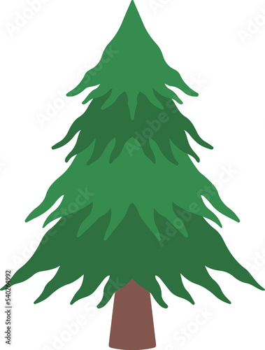Christmas Watercolor Fir Tree