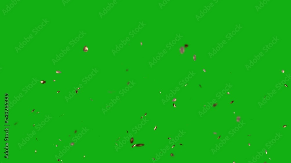 Gold confetti burst on green screen. Gold confetti burst with key color. Chroma key, Color key background. 4K video Gold confetti burst on green screen. Gold confetti burst with key color. Chroma key, Color key background. 4K video