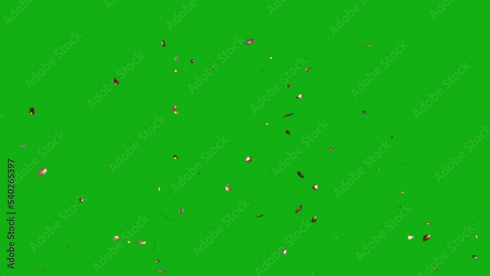 Gold confetti burst on green screen. Gold confetti burst with key color. Chroma key, Color key background. 4K video