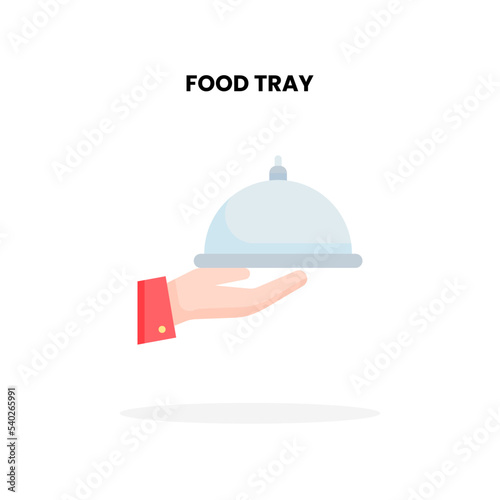 Food Tray flat icon, with hand and dish Vector Illustration for Food Graphic Design Element. Isolated on white background