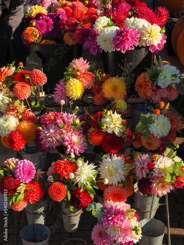 Fototapeta Naklejka Na Ścianę i Meble -  Bouquets of Zinnia flowers for sale at the farmers market