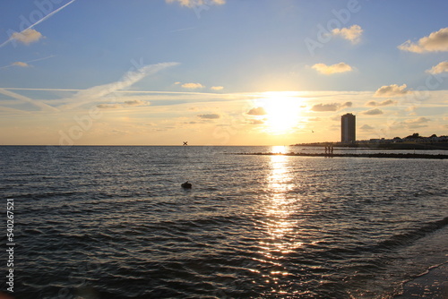 schwan auf der Nordsee © bestfoto95