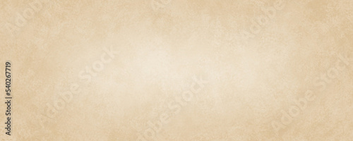 Brown Organic Paper Texture Background