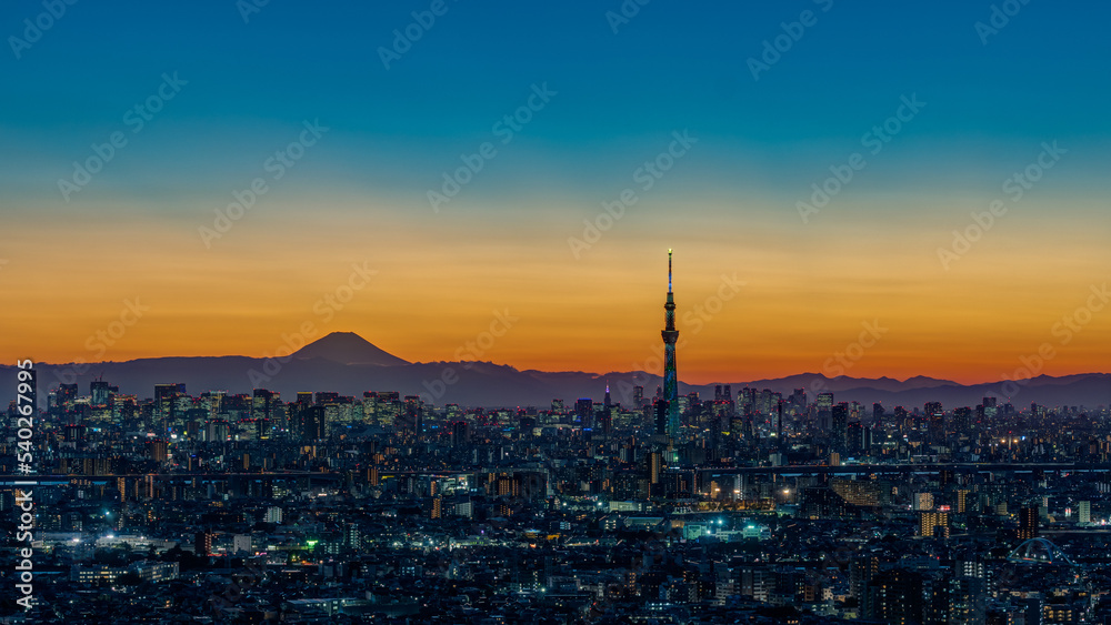 Greater Tokyo area cityscape with Tokyo skytree at magic hour.