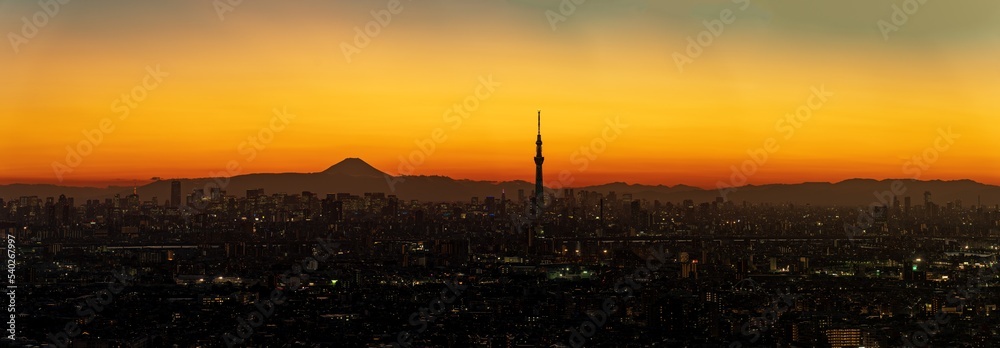 Super high resolultion image of the Greater Tokyo area cityscape with Tokyo skytree on orange sky background.