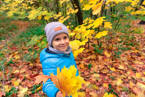 Little boy among the bright yellow autumn foliage. Boy in autumn park with maple leaves