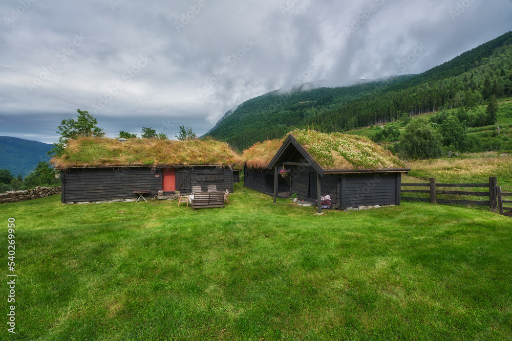 Norway, around Lake Levatnet, characteristic Norwegian houses where the roofs are covered with grass Norway, around Lake Levatnet, characteristic Norwegian houses where the roofs are covered with grass