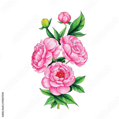 Beautiful watercolor flower plant illustration