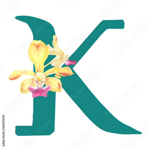 Custom hand drawn vanda orchids alphabet letter K