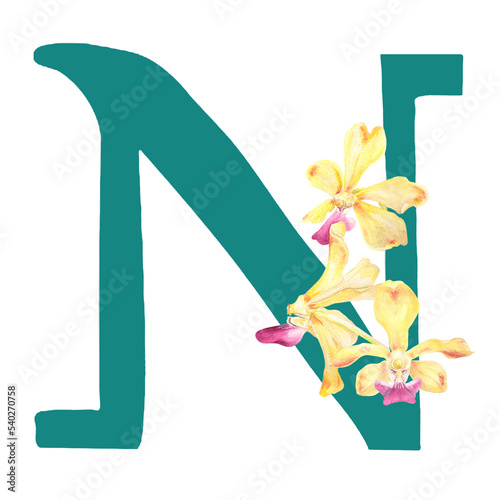 Fototapeta Naklejka Na Ścianę i Meble -  Custom hand drawn vanda orchids alphabet letter N
