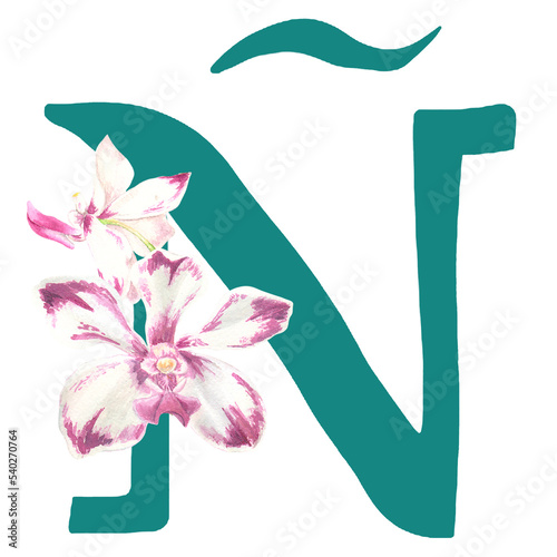 Fototapeta Naklejka Na Ścianę i Meble -  Custom hand drawn vanda orchids alphabet letter Ñ