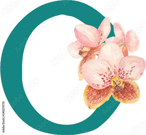 Fototapeta Naklejka Na Ścianę i Meble -  Custom hand drawn vanda orchids alphabet letter O