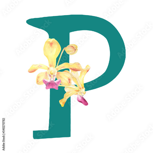 Fototapeta Naklejka Na Ścianę i Meble -  Custom hand drawn vanda orchids alphabet letter P