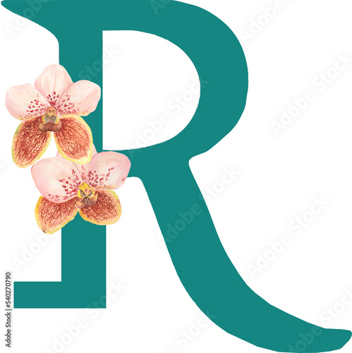Fototapeta Naklejka Na Ścianę i Meble -  Custom hand drawn vanda orchids alphabet letter R