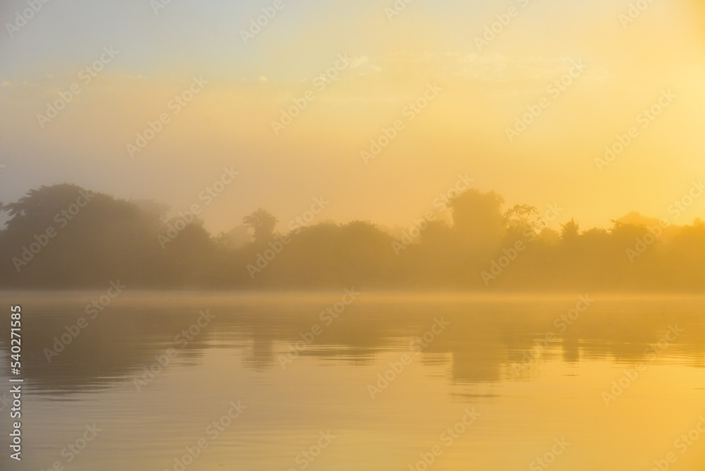 Dawn on a misty Amazonian rainforest riverbank in the Guaporé-Itenez river, near the small, remote village of Remanso, Beni Department, Bolivia, on the border with Rondonia state, Brazil