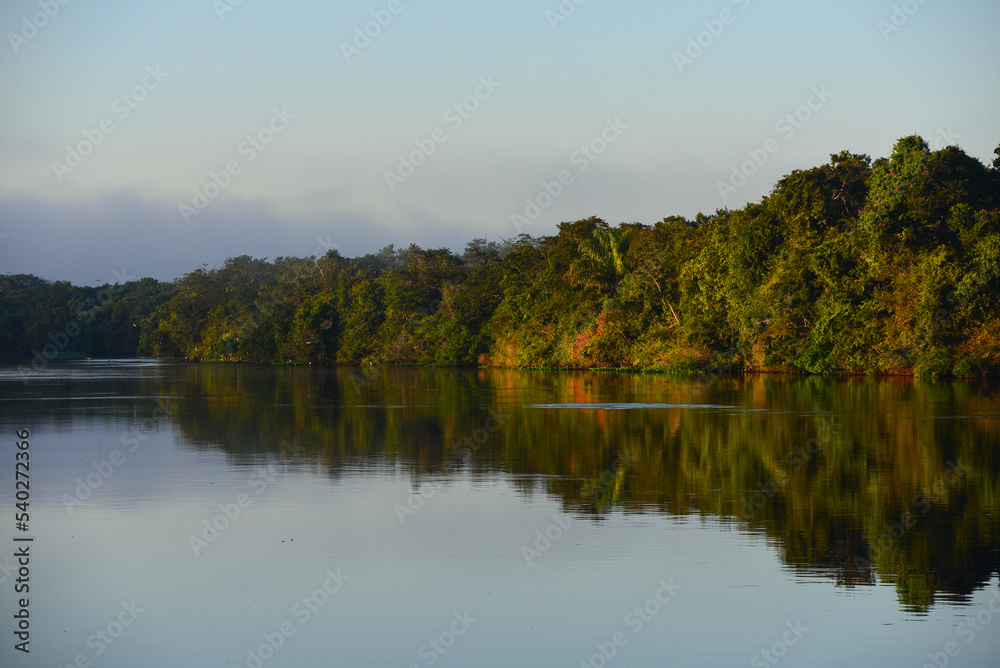 Dawn on the rainforest-lined Guaporé-Itenez river, near Ilha das Flores, Rondonia state, Brazil, on the border with Beni Department, Bolivia