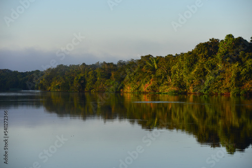 Dawn on the rainforest-lined Guaporé-Itenez river, near Ilha das Flores, Rondonia state, Brazil, on the border with Beni Department, Bolivia