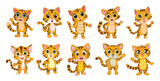 Set of cartoon funny cat character art illustration