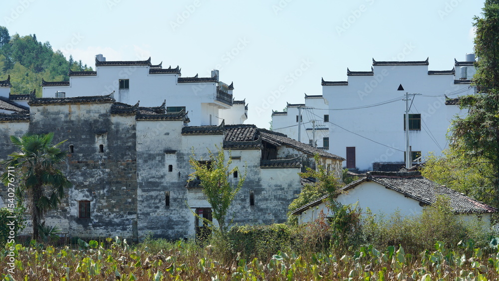 The beautiful traditional Chinese village view with the classical architecture and fresh green trees as background