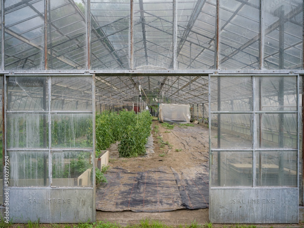 Agriculture: greenhouse cultivation